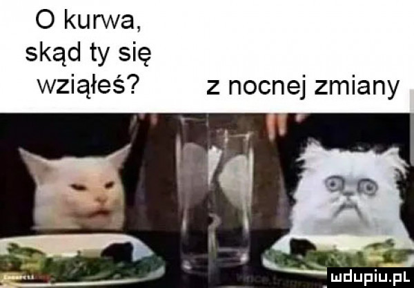 o kurwa skąd ty się wziąłeś z nocnej zmiany u i kbk nin lu iu l