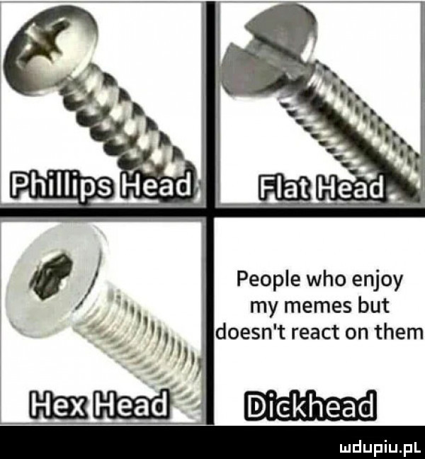 people who enjoy my memes but doesn t react on them diekhead