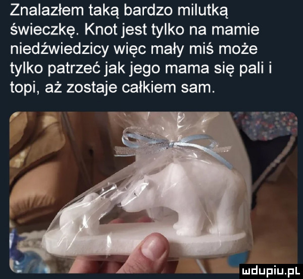 znalazłem taką bardzo milutką świeczkę. knot jest tylko na mamie niedźwiedzicy więc mały miś może tylko patrzeć jak jego mama się pali i topi aż zostaje całkiem sam