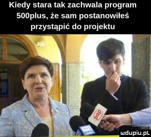 kiedy stara tak zachwala program    plus że sam postanowiłeś przystąpić do projektu