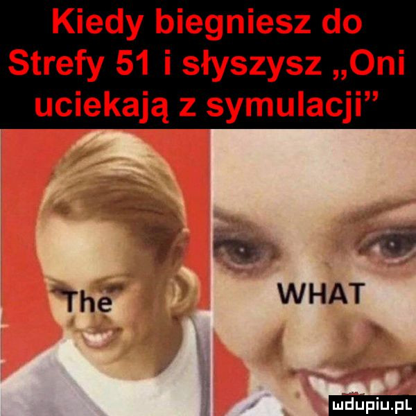 kiedy biegniesz do strefy    i słyszysz oni uciekają z symulacji a w w. roe wiat