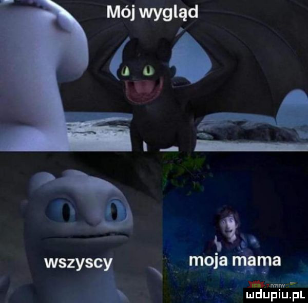 mól wygląd i m u