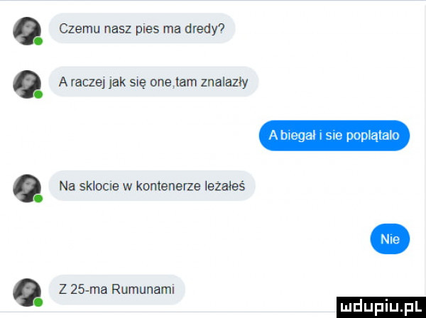 czemu nasz pies ma dredy a raczej jak się one am znalazły na sklocle w kontenerze iezałeś z    ma rumunami aba sp pop ala o