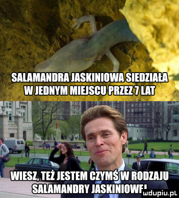 saiamaiiiiiia iaskiiiiiiwa siebiiahi w ieiiiiym mieisbii i lllel ll l msz uż jestem cymsw nnnznm snlnmnmnnv lisillulnwr dup u fl