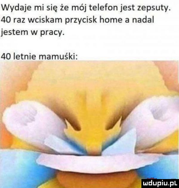 wydaje mi się że mój telefon jest zepsuty.    raz wciskam przycisk home a nadal jestem w pracy.    letnie mamuśki a i