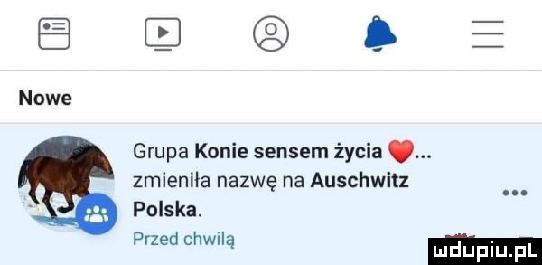 łe nowe grupa konie sensem życia. zmieniła nazwę na auschwitz polska. przed cthą