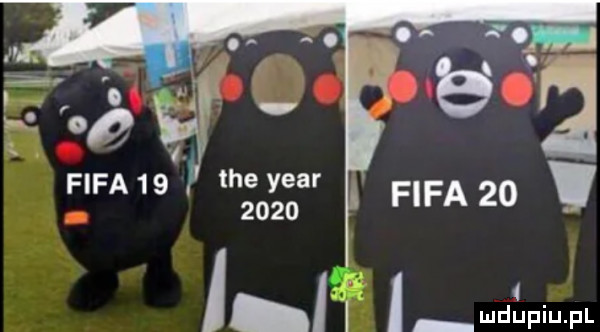 fifa    fifa    tee year