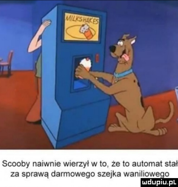 scoopy naiwnie wierzył w to że to automat stał za sprawą darmowego szejka waniliowe o