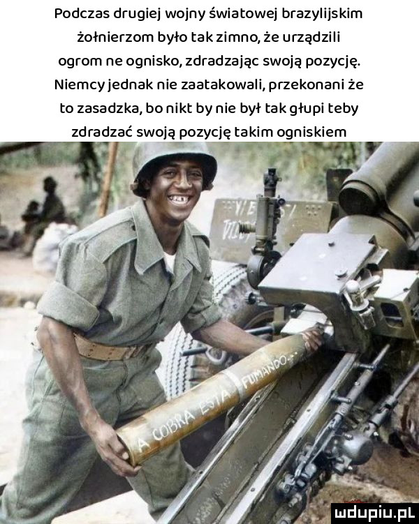 ż alid ludupiu. pl