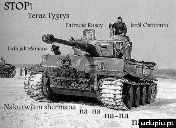 stop teraz tygrys palrzcic l łascy m król osól rondu nakunvizuu sherman