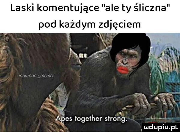 laski komentujące ale ty elkana pod każdym zdjęciem w inhumangmemer f s a w. es together snem     ii u lu liu il