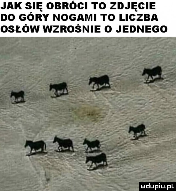 jak się obłogi to zdjęcie do góry nogami to liczba osław wzrośnie o jednego