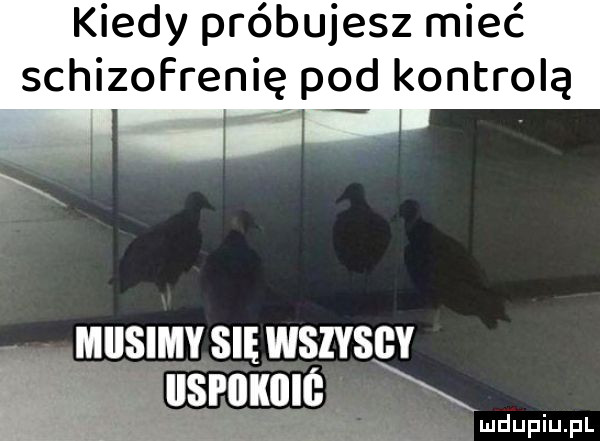 v miesimy się wszyscy usrmle d l lu uplu p