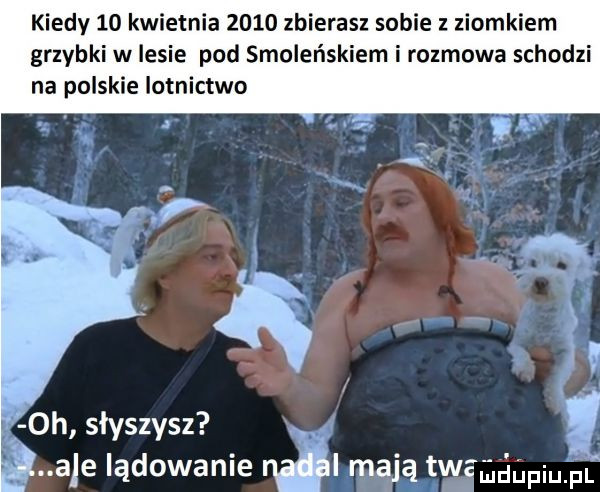 kiedy    kwietnia      zbierasz sobie ziomkiem grzybki w lesie pod smoleńskiem i rozmowa schodzi na polskie lotnictwo l oh słyszysz ale lądowanie nil mają twe mun