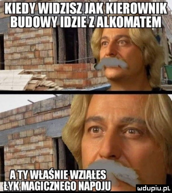iiieiiv wiiizisi ilii iiieiiiiwiliiia biiiiiiwy iiilie l aliiiimai em mul   i jv w n   a ty właście wliales llykymagigzkegu kapo