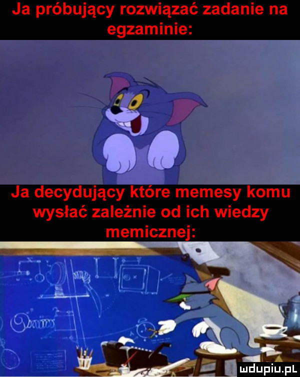 ja próbujący rozwiązać zadanie na egzaminie   if d ja decydujący które memesy komu wysłać zależnie od ich wiedzy memicznej