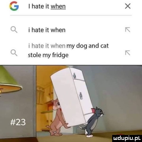 i hate it wien x. q i hate it wien r i hate it wien my dog and cat q stole my fridge y w