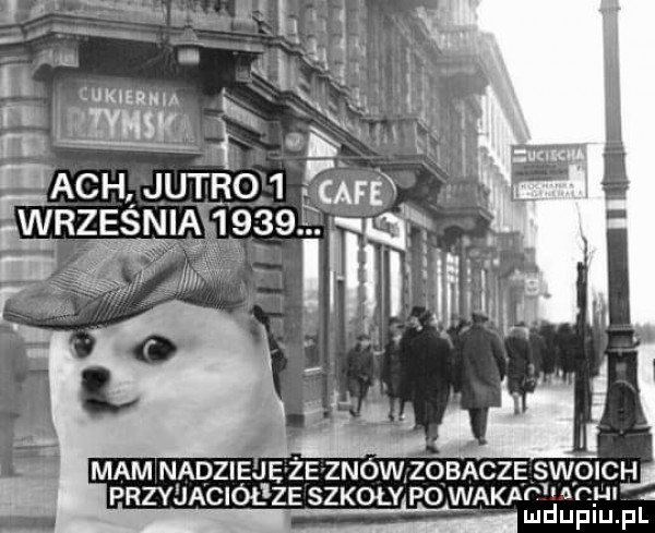 wkieheia i each jutro  f września     .   na mam nadzieje że znów zobacze swoich przyjaciół ze szkoły po wbk u m l l   ludupiu. pl