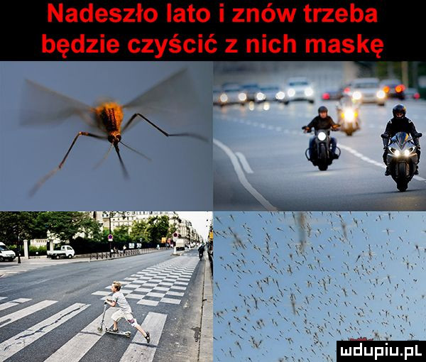 nadeszło lato i znów trzeba będzie czyścić z nich maskę