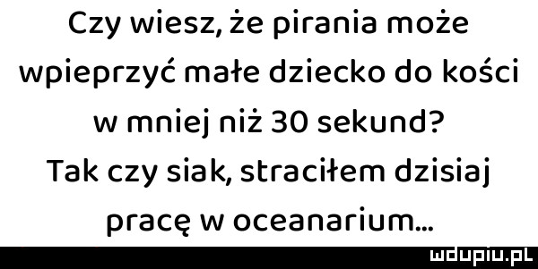 czy wiesz że pirania może wpieprzyć małe dziecko do kości w mniej niż    sekund tak czy siak straciłem dzisiaj pracę w oceanarium