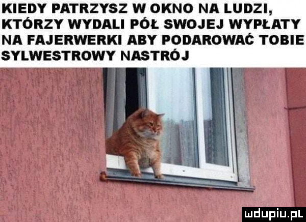 kiedy patrzysz w okno na ludzi którzy wydali pół swojej wypłaty na fajerwerki aby podarowaó tobie sylwestrowy nastrój