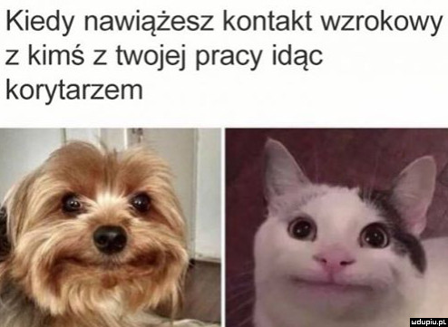 Kontakt wzrokowy