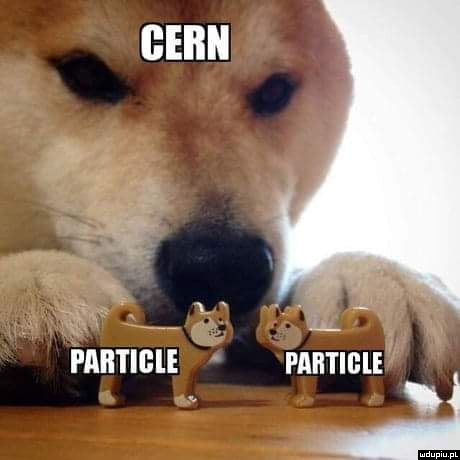 CERN
