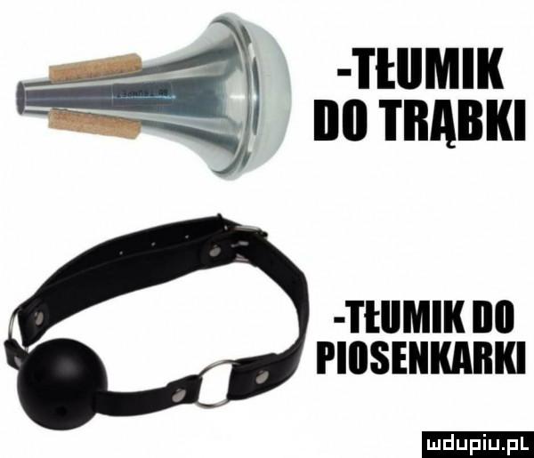 cą ma.     m ludu iu. l