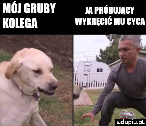 ml ll ununv m rnńnumcv klllega mumii leu cm a. a mdupiﬂpl