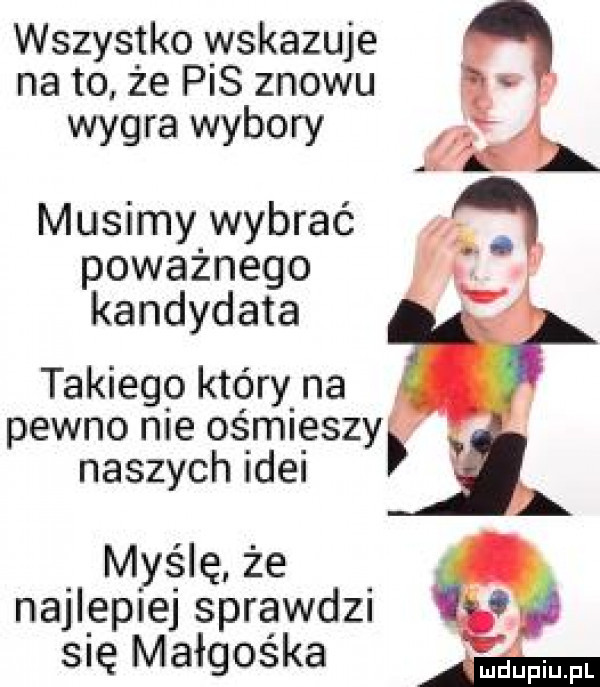 wszystko wskazuje na to że pis znowu wygra wybory musimy wybrać poważnego kandydata takiego który na dawno nie ośmieszy naszych idei myślę że. najlepiej sprawdzi.   się małgośka