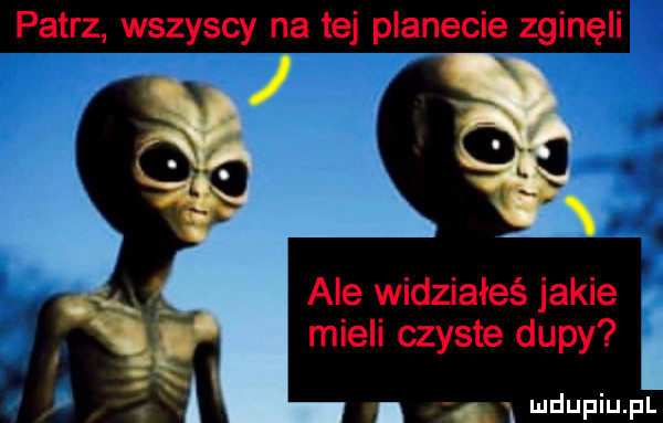 patrz wszyscy na tej planecie zginęli ale widziałeś jakie mieli czyste dupy i. afk