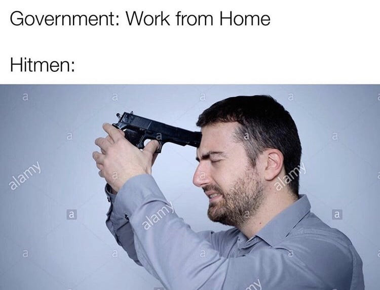 government werk from home