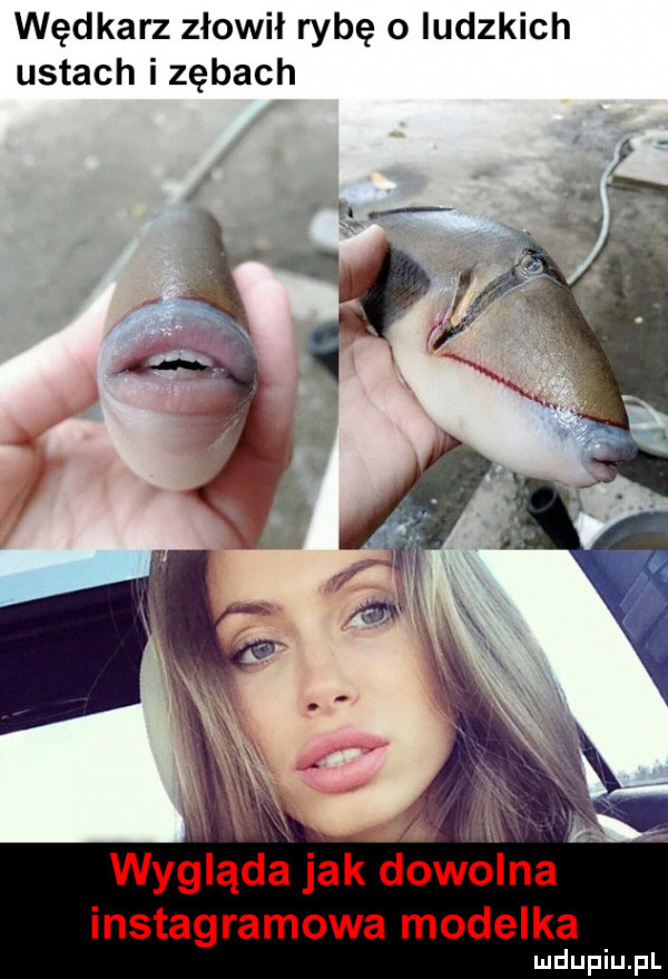 wędkarz złowił rybę o ludzkich ustach i zębach x w wygląda jak dowolna instagramowa modelkda lu uplu pl