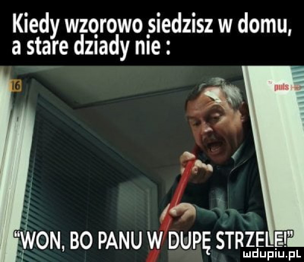 kiedy wzorowo siedzisz w domu a stare dziady me t j   yvon bo panu w dupę strzele mduplu pl