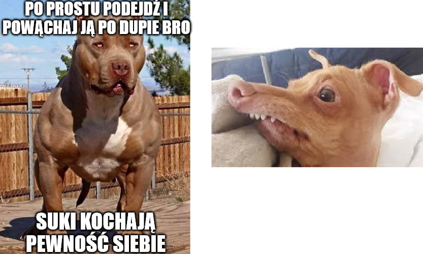 i ll piiiis i ii pllllhill i sejn locum i pewiiiiśi siebie