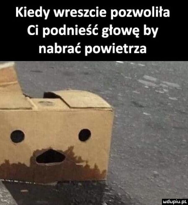 Podnieść głowę