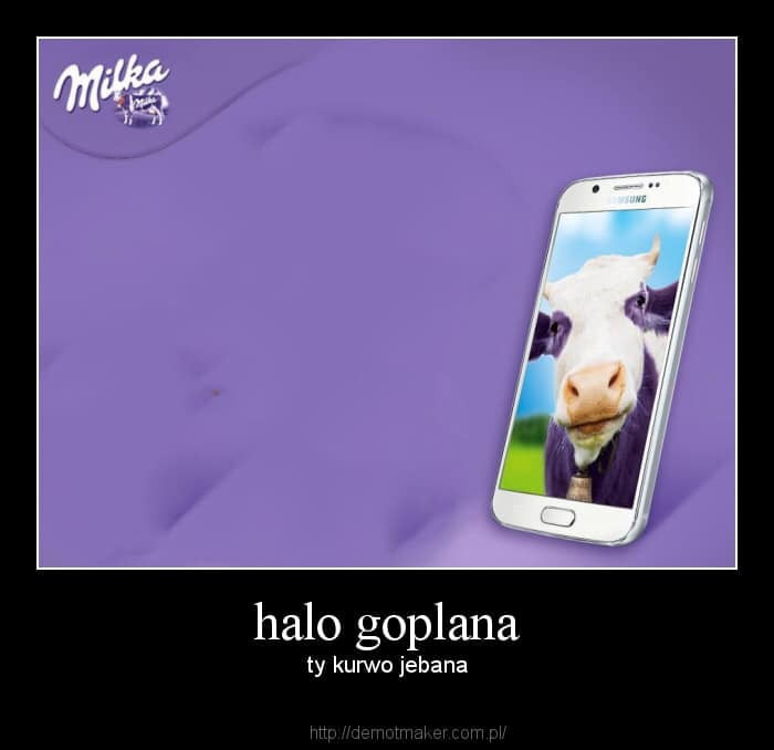halo goplana ty kurwo jebana m