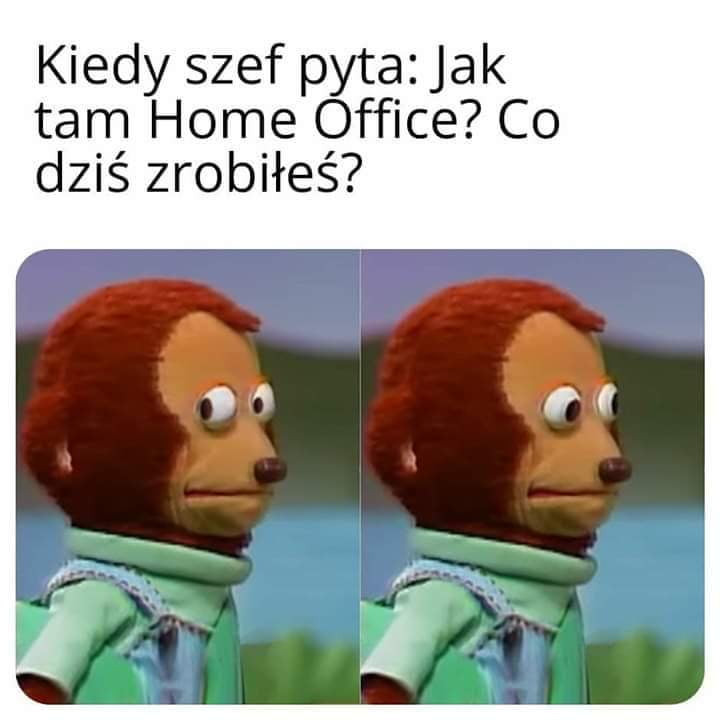 kiedy szef pyta jak tam home office co dziś zrobiłeś