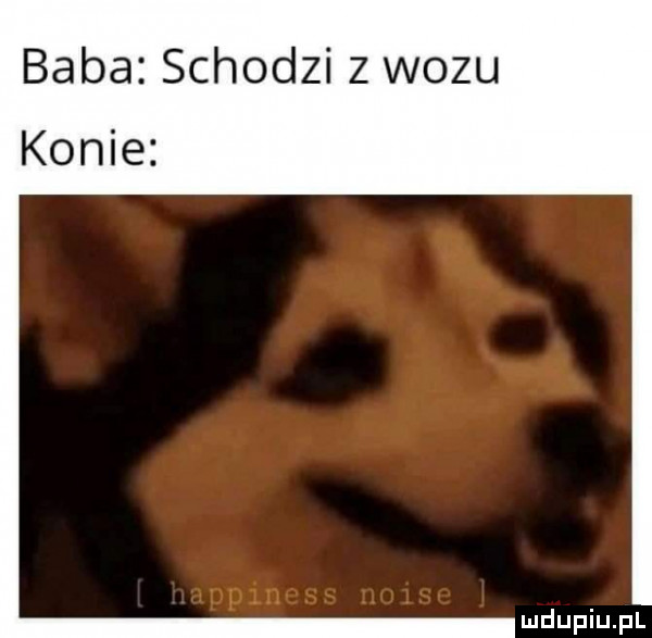 baba schodzi z wozu konie