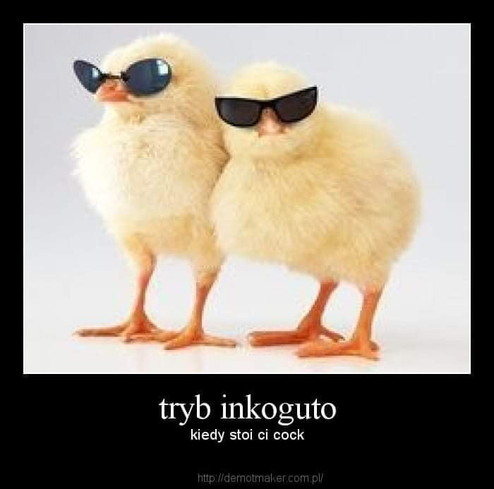 tryb inkoguto kiedy stoi ci cook