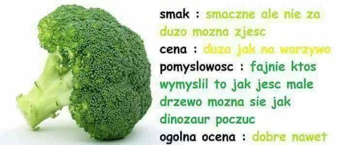 smak cena pomyslowosc fajnie kłos wymyslil to jak jesc male drzewo mozna sie jak dinozaur poczuc ogolna ocena