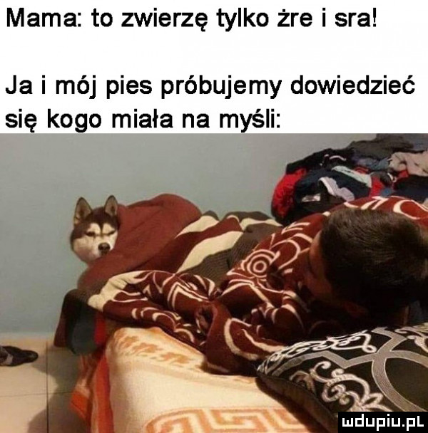 mama to zwierzę tylko żre i sra ja i mój pies próbujemy dowiedzieć się kogo miała na myśli