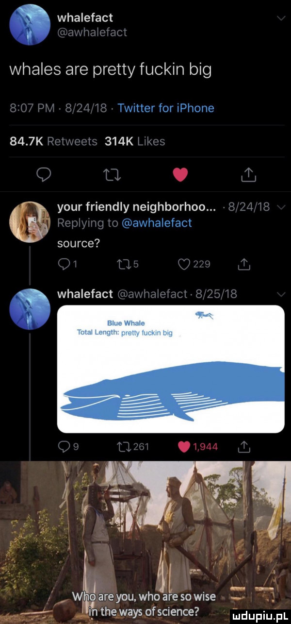 whalefact u irfmzt whales are pratty fuckin big pm i  k  twitter foriphone meals    k l lues tj. your friendly neighborhoo. s    is m awhalefact source li. whalefact uz v divina r ii w w oareyou. who are sowite i n theways ofscience mdupiu pl