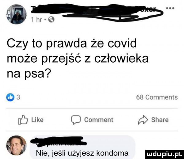 czy to prawda że covid może przejść z człowieka na psa      comments like c comment a stare. nie jeśli użyjesz kondoma