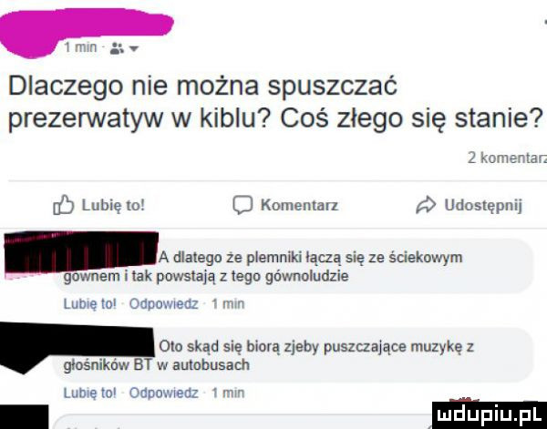 f dlaczego nie można spuszczać prezerwatyw w kiblu coś złego się stanie   war c lubię   o komemalz udostępmj gamer l lak pawscąą z iegu gównvludzie lumen odra mm     skąd sle biorą zjeby puszczające muzykę z głośników bt w aulabusam lunetm danem men